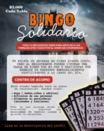 Bingo Solidario